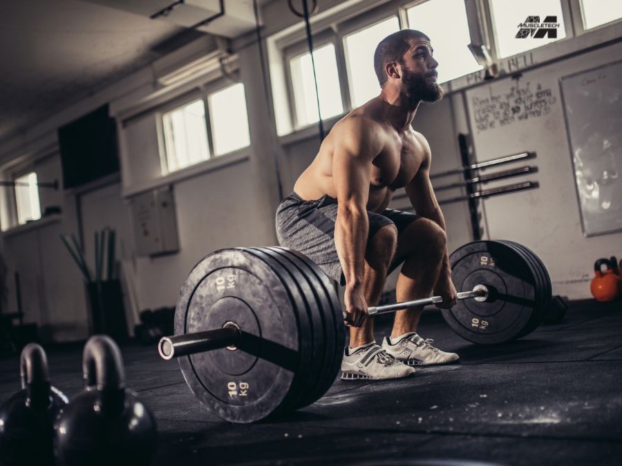 How to Do a Perfect Barbell Squat