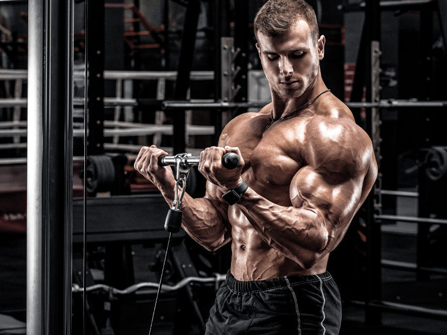 Add Bulk to Your Biceps With Our 100-curl Challenge